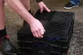 男子在路边捡到一个黑盒子，打开一看，男子却激动的跳了起来图片