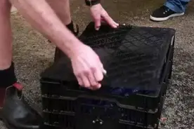 男子在路边捡到一个黑盒子，打开一看，男子却激动的跳了起来图片