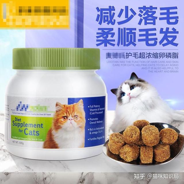养猫的智商税，快来看看吧