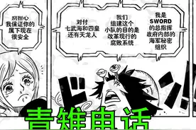 海贼王：藤虎青雉绿牛皆为海军卧底，实际是SWORD人员图片