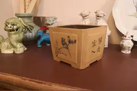 紫砂花盆赏析之六十四，七、八十年代一颗小印图片