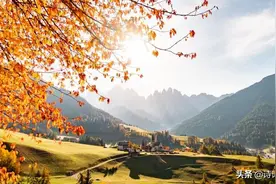 “少壮不努力”，“情人眼里出西施”：50个名句，你知道出处吗？图片