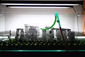 草缸造景教程：打造水族景观缸里的水下巨石阵图片