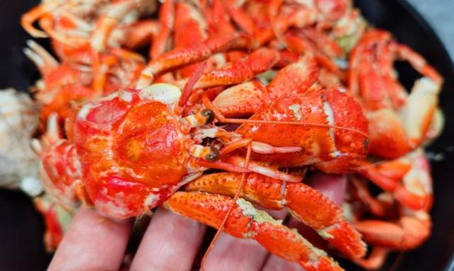 大连的小海鲜~虾怪和小龙虾(虾怪是什么海鲜) - 冷求网