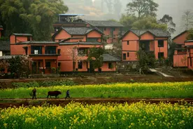 贺雪峰：说说乡村振兴规划中的四类村庄图片