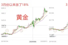 揭秘丨多年来，被误导的白银真相图片