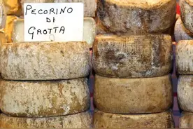 种菜不用化肥，用这三种“自制肥料”，蔬菜产量高口感好图片