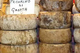 种菜不用化肥，用这三种“自制肥料”，蔬菜产量高口感好图片