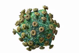 艾滋病：中国艾滋病现状，感染者人数超100万，该如何是好图片