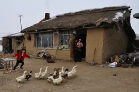 20多条大蛇！女子与蛇同居15年，为什么不怕咬，蛇真能与人共处？图片