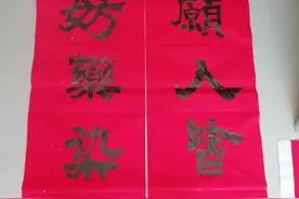 中医世家，不弃选用的春联图片