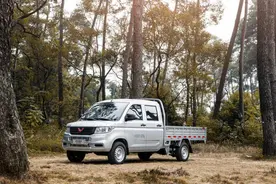 再小的“皮卡”也是一种力量，盘点那些适合开货拉拉的车型图片