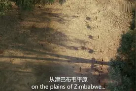 看视频一分钟记住一个单词，今日单词，额，画面太美，看视频吧