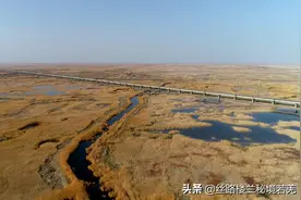 聚焦央视 | 若羌县台特玛湖水鸟蹁跹 荒滩变江南图片