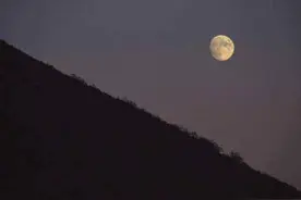 聪明人吃老实人，老实人吃天，天吃聪明人图片
