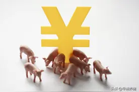 “治未病”养猪生产体系与实践图片