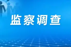 上海上实龙创智能科技股份有限公司副总经理许可接受监察调查图片