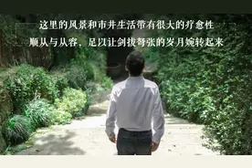 吴晓波：一座只与“活着”有关的城市图片