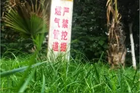 工业管道标识攻略|一张“身份证”带你辨认管道介质，做安全管理图片