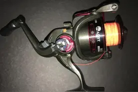 路亚新手如何挑选纺车轮，你一定要知道的冷知识图片