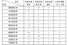 申报2019年度“宁德市优秀共青团员”“宁德市优秀共青团干部”“宁德市五四红旗团委（团支部）”的通知图片