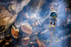 喜马拉雅山采蜜人：蜂蜜每公斤3500美元也不卖，特供给尼泊尔皇室图片