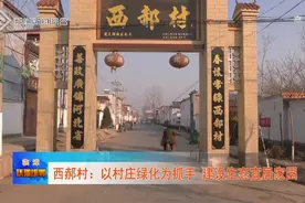 临漳西郝村：以村庄绿化为抓手 建设生态宜居家园图片
