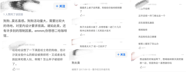 开一个狗咖的成本  投资不高简直是爱狗人士的天堂（我花89元看狗打架1小时）