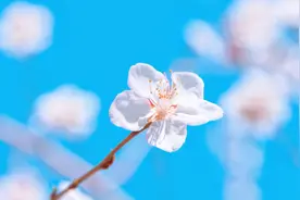 一个男人到了40岁，就对妻子没感觉了，原因可能是这3种图片