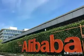 苍蝇与有缝的蛋之间发生的故事：“阿里女员工被侵害”事件分析图片