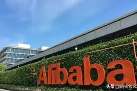 苍蝇与有缝的蛋之间发生的故事：“阿里女员工被侵害”事件分析图片
