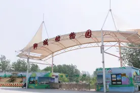 网红桥、碰碰车、孔雀开屏......聊城遛娃好去处。图片