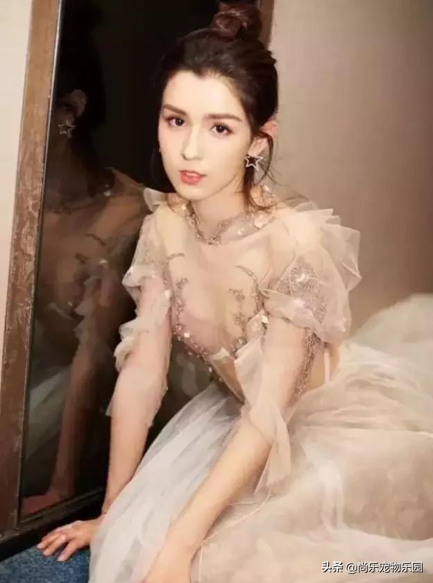angelababy的不雅视频 Angelababy的视频(图1) angelababy的不雅视频 Angelababy的视频(图1)