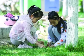 离石：夏日游园图片