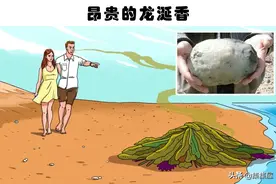 沙滩上的奇怪发现：人们在沙滩上所找到的5个奇怪的发现图片