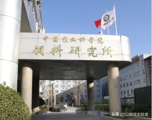 农科院一氧化碳合成蛋白质是怎么做到的？对中国有多大的意义？