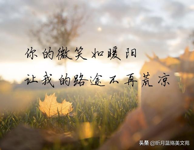 分手的短文说给对方,相思一片片,思念一点点,伤感美文 - 冷求网