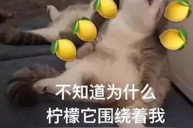 羡慕嫉妒！常德一高校辅导员感冒，竟同时收到学生23杯"冬天的第一杯奶茶"图片