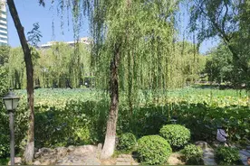 西安莲湖公园的钉子户图片