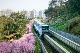 推荐个往浮图关花海的线路攻略，美人梅已凋谢要看这美景得等明年图片