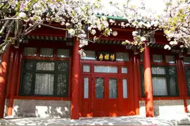 《海棠花祭》图片