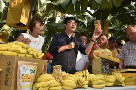 台湾香蕉价格崩盘了？网红驳斥：出口量逆天，销往大陆排第二图片