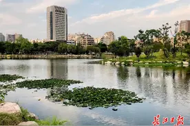 武汉启动创建国家生态文明建设示范市，未来5年，武汉基本消除劣Ⅴ类湖泊，中心城区建成40个湖泊公园图片