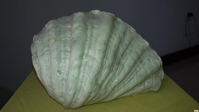 这些补充蛋白质的水产，常吃有益，但吃无妨