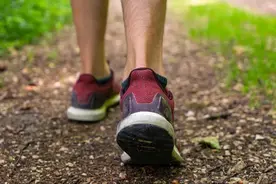 能走路，说明跟腱没断？| 运动医学专家教您判断是否出现了跟腱断裂图片