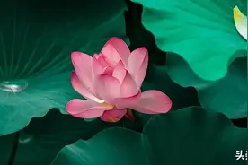 运气不好的时候，事业低谷的时候，如何改变现状图片