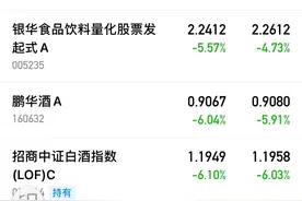 跌得最惨的五只白酒基金，一个月最大回撤-20%图片