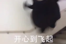 微信表情包上限升至999！但是大家愉快“斗图”的时候，一定记得遵纪守法哦！图片