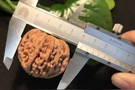 核桃“四大黑幕”，只有你想不到的，没有奸商做不到的图片