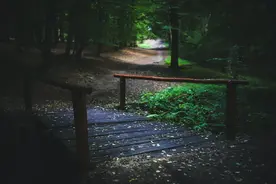 安宫牛黄丸丨在“要完”与“要玩”之间，也许只差一颗“药丸”图片